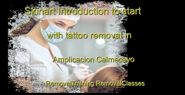 Skinart Introduction to start with tattoo removal in Amplicacion Calmecayo | #RemovalTraining #RemovalClasses #SkinartTraining-Mexico