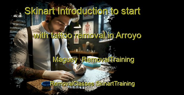 Skinart Introduction to start with tattoo removal in Arroyo Maguey | #RemovalTraining #RemovalClasses #SkinartTraining-Mexico