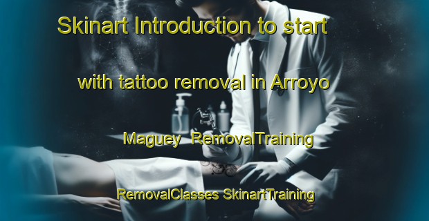 Skinart Introduction to start with tattoo removal in Arroyo Maguey | #RemovalTraining #RemovalClasses #SkinartTraining-Mexico