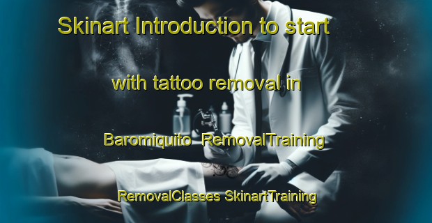 Skinart Introduction to start with tattoo removal in Baromiquito | #RemovalTraining #RemovalClasses #SkinartTraining-Mexico