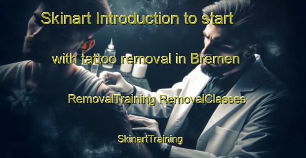 Skinart Introduction to start with tattoo removal in Bremen | #RemovalTraining #RemovalClasses #SkinartTraining-Mexico