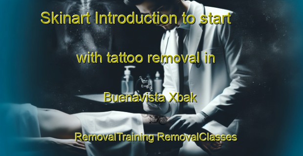 Skinart Introduction to start with tattoo removal in Buenavista Xbak | #RemovalTraining #RemovalClasses #SkinartTraining-Mexico