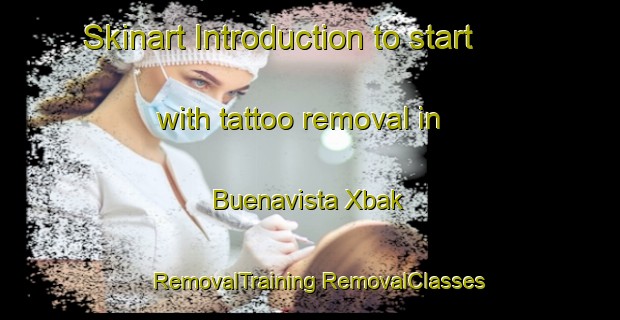 Skinart Introduction to start with tattoo removal in Buenavista Xbak | #RemovalTraining #RemovalClasses #SkinartTraining-Mexico