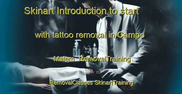 Skinart Introduction to start with tattoo removal in Campo Malem | #RemovalTraining #RemovalClasses #SkinartTraining-Mexico