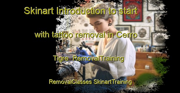 Skinart Introduction to start with tattoo removal in Cerro Tigre | #RemovalTraining #RemovalClasses #SkinartTraining-Mexico