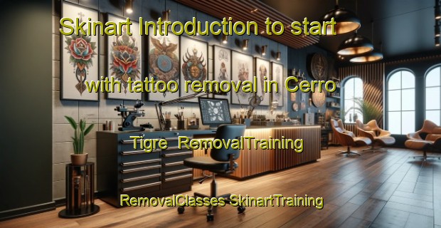 Skinart Introduction to start with tattoo removal in Cerro Tigre | #RemovalTraining #RemovalClasses #SkinartTraining-Mexico