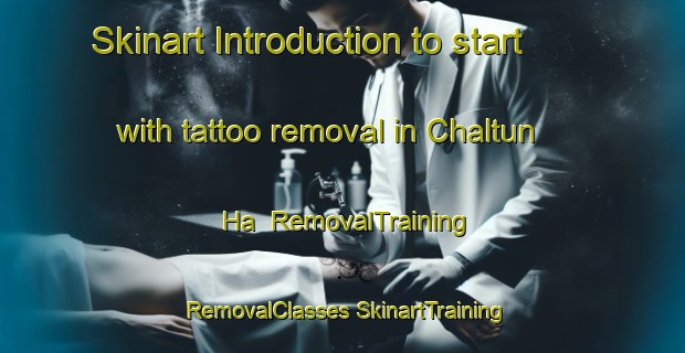 Skinart Introduction to start with tattoo removal in Chaltun Ha | #RemovalTraining #RemovalClasses #SkinartTraining-Mexico