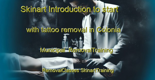 Skinart Introduction to start with tattoo removal in Colonia Municipal | #RemovalTraining #RemovalClasses #SkinartTraining-Mexico