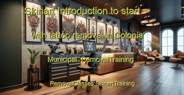 Skinart Introduction to start with tattoo removal in Colonia Municipal | #RemovalTraining #RemovalClasses #SkinartTraining-Mexico