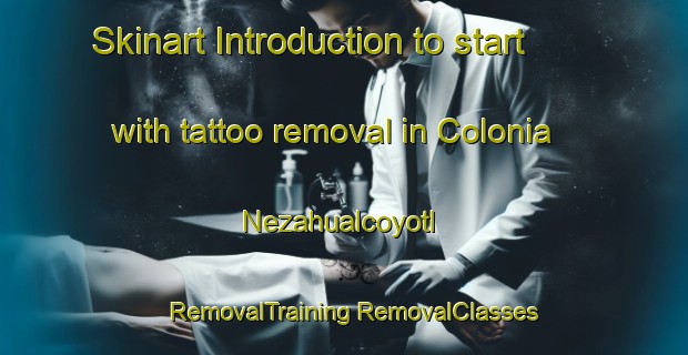 Skinart Introduction to start with tattoo removal in Colonia Nezahualcoyotl | #RemovalTraining #RemovalClasses #SkinartTraining-Mexico