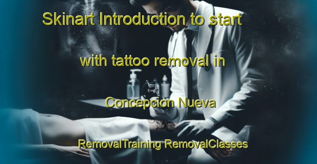 Skinart Introduction to start with tattoo removal in Concepcion Nueva | #RemovalTraining #RemovalClasses #SkinartTraining-Mexico