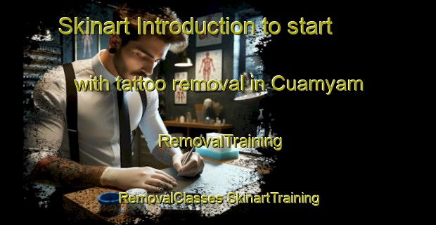 Skinart Introduction to start with tattoo removal in Cuamyam | #RemovalTraining #RemovalClasses #SkinartTraining-Mexico