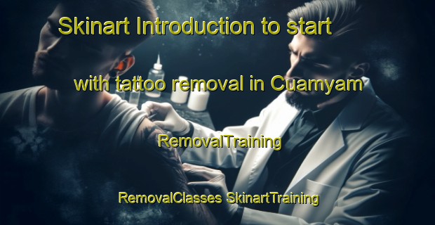 Skinart Introduction to start with tattoo removal in Cuamyam | #RemovalTraining #RemovalClasses #SkinartTraining-Mexico