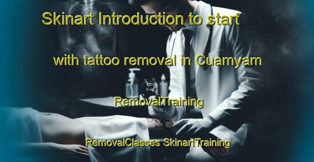 Skinart Introduction to start with tattoo removal in Cuamyam | #RemovalTraining #RemovalClasses #SkinartTraining-Mexico