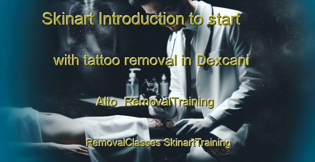 Skinart Introduction to start with tattoo removal in Dexcani Alto | #RemovalTraining #RemovalClasses #SkinartTraining-Mexico