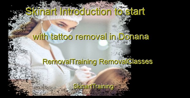 Skinart Introduction to start with tattoo removal in Donana | #RemovalTraining #RemovalClasses #SkinartTraining-Mexico