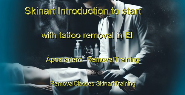 Skinart Introduction to start with tattoo removal in El Apostadero | #RemovalTraining #RemovalClasses #SkinartTraining-Mexico