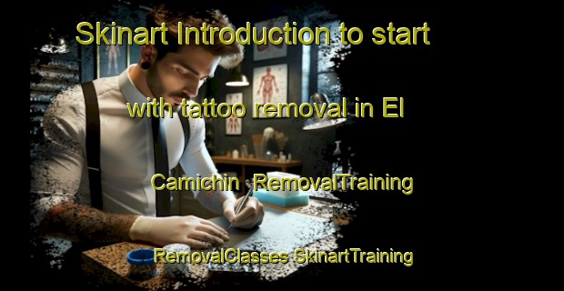 Skinart Introduction to start with tattoo removal in El Camichin | #RemovalTraining #RemovalClasses #SkinartTraining-Mexico