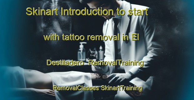 Skinart Introduction to start with tattoo removal in El Destiladero | #RemovalTraining #RemovalClasses #SkinartTraining-Mexico