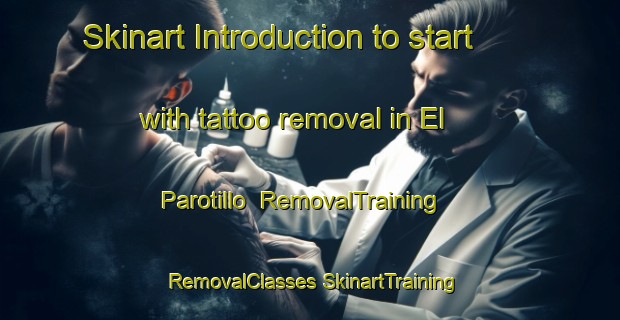 Skinart Introduction to start with tattoo removal in El Parotillo | #RemovalTraining #RemovalClasses #SkinartTraining-Mexico