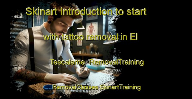 Skinart Introduction to start with tattoo removal in El Tescalame | #RemovalTraining #RemovalClasses #SkinartTraining-Mexico