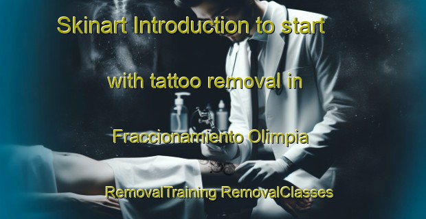 Skinart Introduction to start with tattoo removal in Fraccionamiento Olimpia | #RemovalTraining #RemovalClasses #SkinartTraining-Mexico