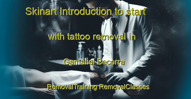 Skinart Introduction to start with tattoo removal in Gamaliel Becerra | #RemovalTraining #RemovalClasses #SkinartTraining-Mexico