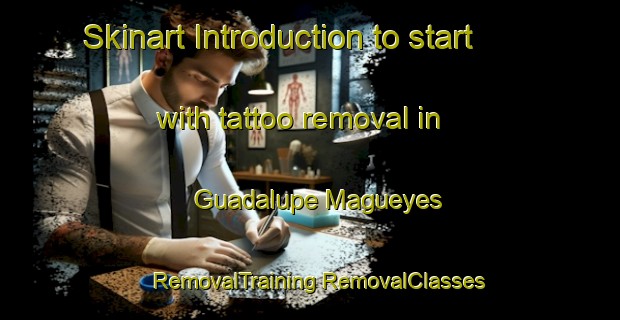 Skinart Introduction to start with tattoo removal in Guadalupe Magueyes | #RemovalTraining #RemovalClasses #SkinartTraining-Mexico