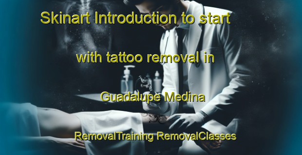 Skinart Introduction to start with tattoo removal in Guadalupe Medina | #RemovalTraining #RemovalClasses #SkinartTraining-Mexico