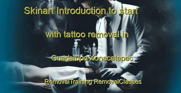 Skinart Introduction to start with tattoo removal in Guadalupe Xonacatepec | #RemovalTraining #RemovalClasses #SkinartTraining-Mexico