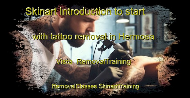 Skinart Introduction to start with tattoo removal in Hermosa Vista | #RemovalTraining #RemovalClasses #SkinartTraining-Mexico