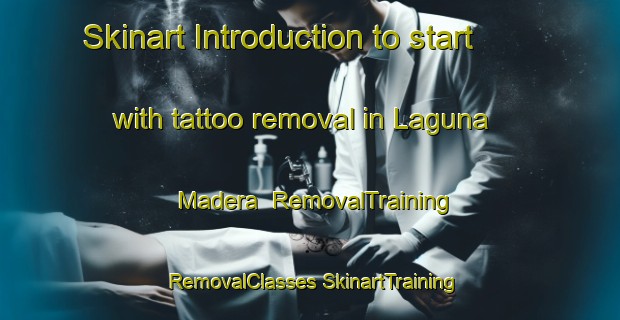 Skinart Introduction to start with tattoo removal in Laguna Madera | #RemovalTraining #RemovalClasses #SkinartTraining-Mexico