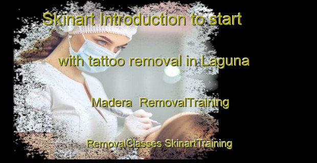 Skinart Introduction to start with tattoo removal in Laguna Madera | #RemovalTraining #RemovalClasses #SkinartTraining-Mexico