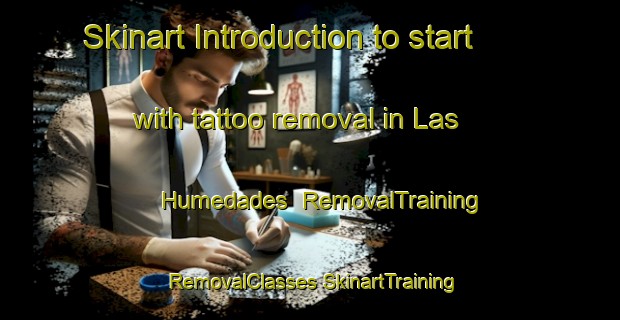 Skinart Introduction to start with tattoo removal in Las Humedades | #RemovalTraining #RemovalClasses #SkinartTraining-Mexico