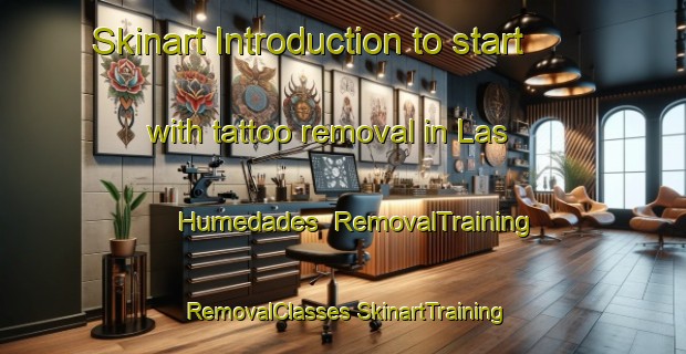 Skinart Introduction to start with tattoo removal in Las Humedades | #RemovalTraining #RemovalClasses #SkinartTraining-Mexico