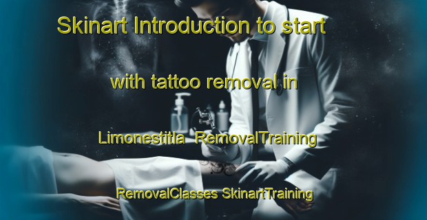 Skinart Introduction to start with tattoo removal in Limonestitla | #RemovalTraining #RemovalClasses #SkinartTraining-Mexico