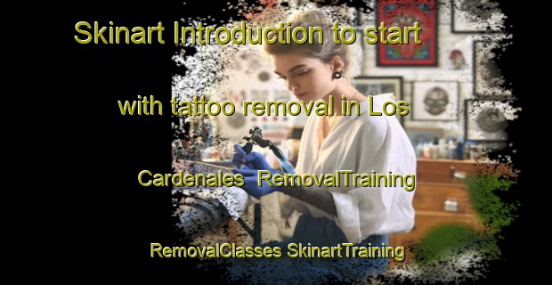 Skinart Introduction to start with tattoo removal in Los Cardenales | #RemovalTraining #RemovalClasses #SkinartTraining-Mexico