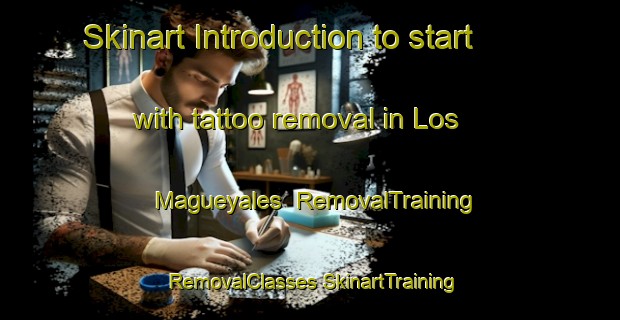 Skinart Introduction to start with tattoo removal in Los Magueyales | #RemovalTraining #RemovalClasses #SkinartTraining-Mexico