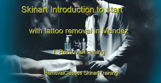 Skinart Introduction to start with tattoo removal in Mendez I | #RemovalTraining #RemovalClasses #SkinartTraining-Mexico