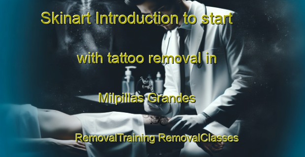 Skinart Introduction to start with tattoo removal in Milpillas Grandes | #RemovalTraining #RemovalClasses #SkinartTraining-Mexico