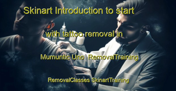 Skinart Introduction to start with tattoo removal in Mumuntic Uno | #RemovalTraining #RemovalClasses #SkinartTraining-Mexico