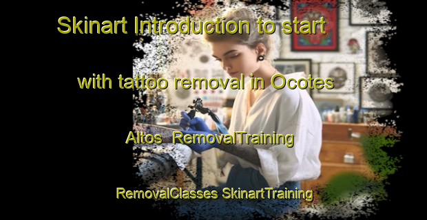 Skinart Introduction to start with tattoo removal in Ocotes Altos | #RemovalTraining #RemovalClasses #SkinartTraining-Mexico