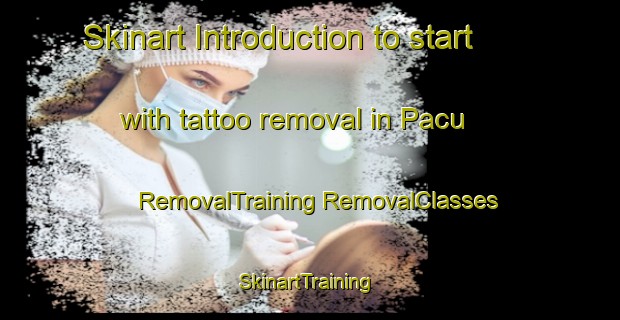 Skinart Introduction to start with tattoo removal in Pacu | #RemovalTraining #RemovalClasses #SkinartTraining-Mexico