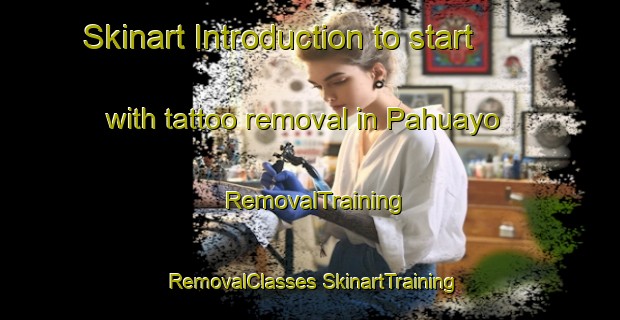 Skinart Introduction to start with tattoo removal in Pahuayo | #RemovalTraining #RemovalClasses #SkinartTraining-Mexico