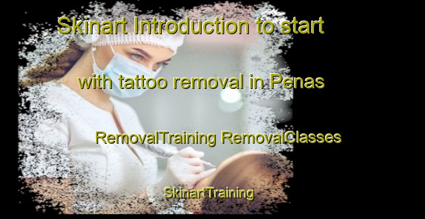 Skinart Introduction to start with tattoo removal in Penas | #RemovalTraining #RemovalClasses #SkinartTraining-Mexico