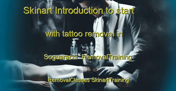 Skinart Introduction to start with tattoo removal in Soguarachi | #RemovalTraining #RemovalClasses #SkinartTraining-Mexico