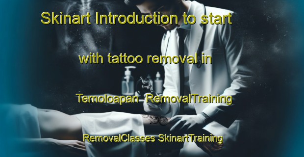 Skinart Introduction to start with tattoo removal in Temoloapan | #RemovalTraining #RemovalClasses #SkinartTraining-Mexico