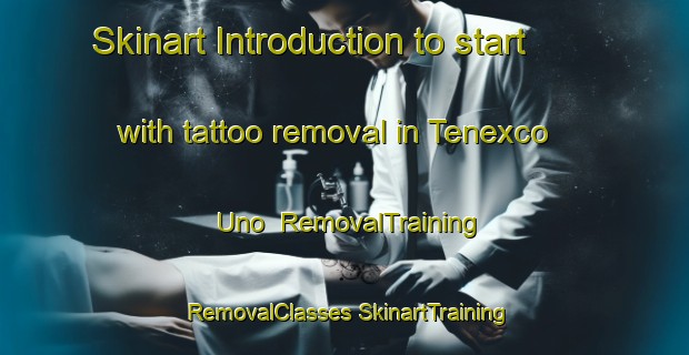 Skinart Introduction to start with tattoo removal in Tenexco Uno | #RemovalTraining #RemovalClasses #SkinartTraining-Mexico