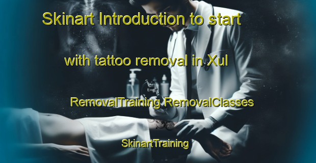 Skinart Introduction to start with tattoo removal in Xul | #RemovalTraining #RemovalClasses #SkinartTraining-Mexico