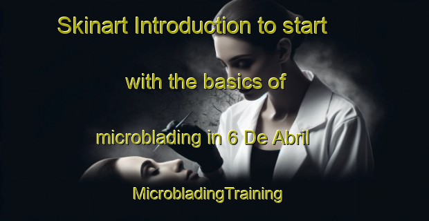 Skinart Introduction to start with the basics of microblading in 6 De Abril | MicrobladingTraining | MicrobladingClasses | SkinartTraining-Mexico